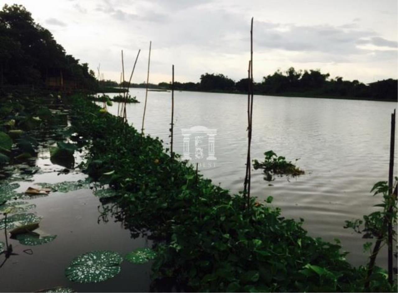 37587 - Nakornchaisri road Land for sale plot size 2 acres, ภาพที่ 4