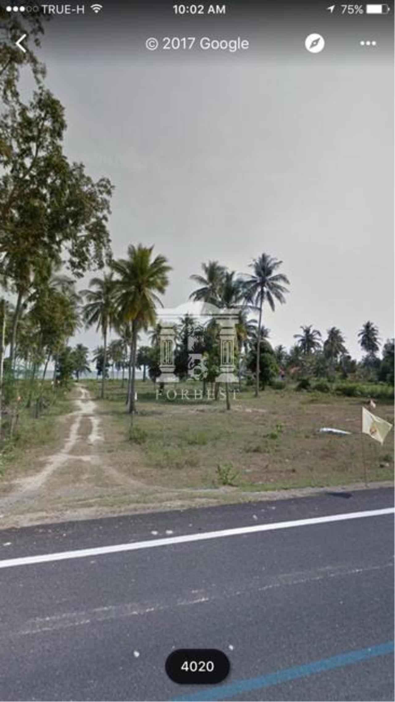 37564 - Prachuap Khiri Khan Land for sale plot size 3988 Sqm, ภาพที่ 4