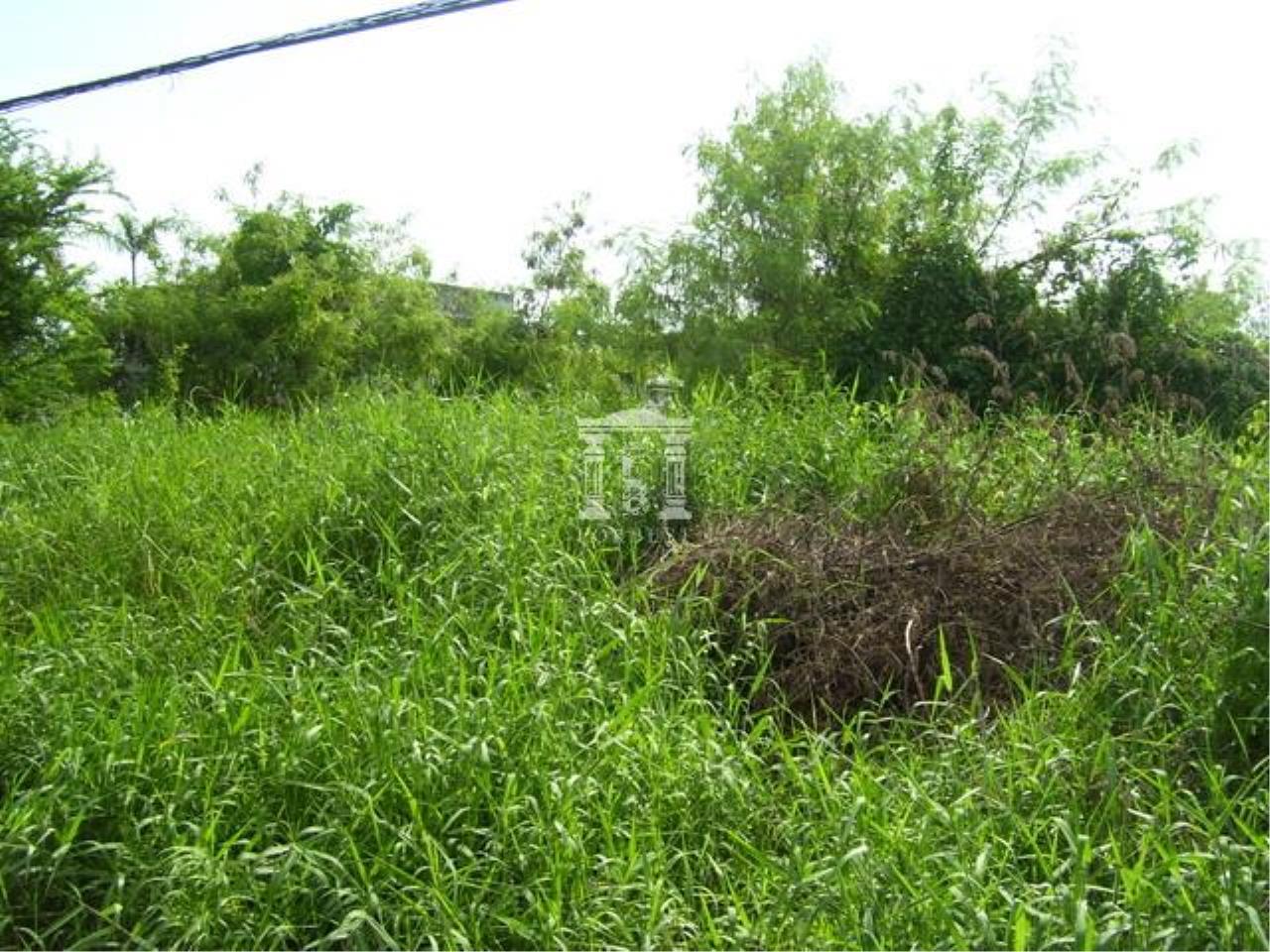 26384 - Sukhumvit 105 road Land For sale area 1440 Sqm, ภาพที่ 4