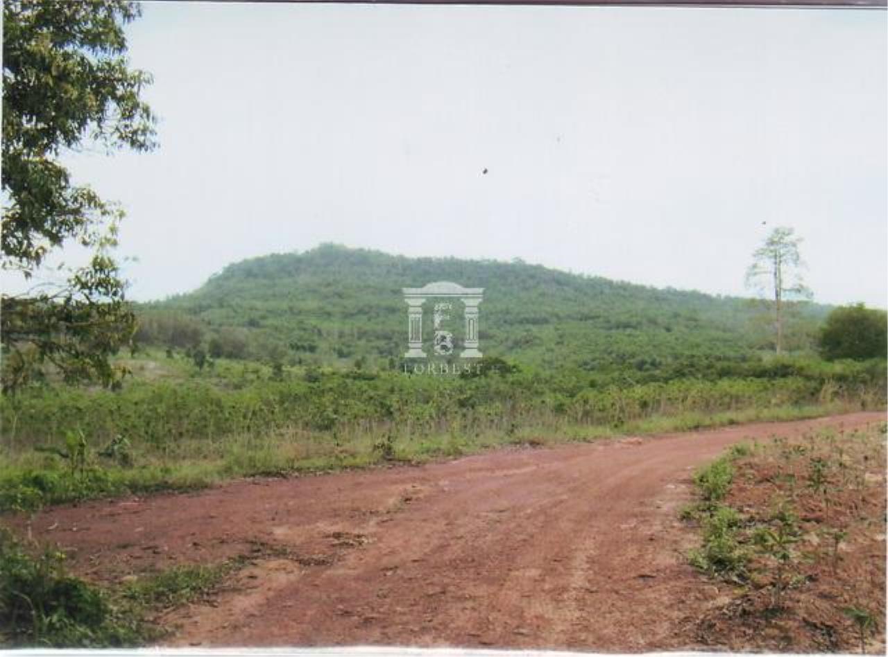 35359 - Nadee district Prajeenburi province Land For Sale land size 73, ภาพที่ 4