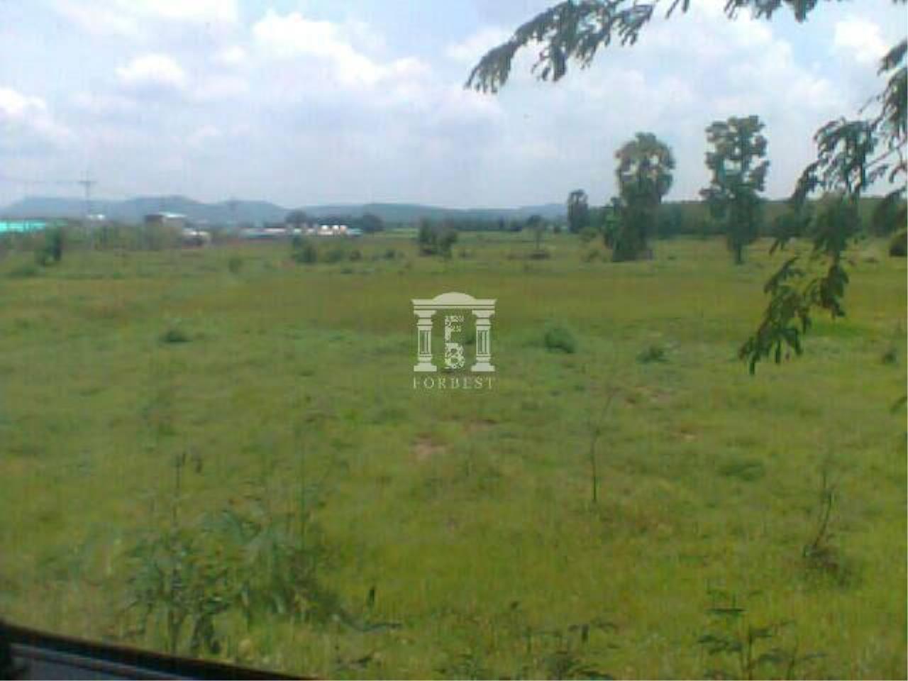 34770 - Saraburi-Lom Sak 2 Road Land + Pasak Plantation area 100 acres, ภาพที่ 4