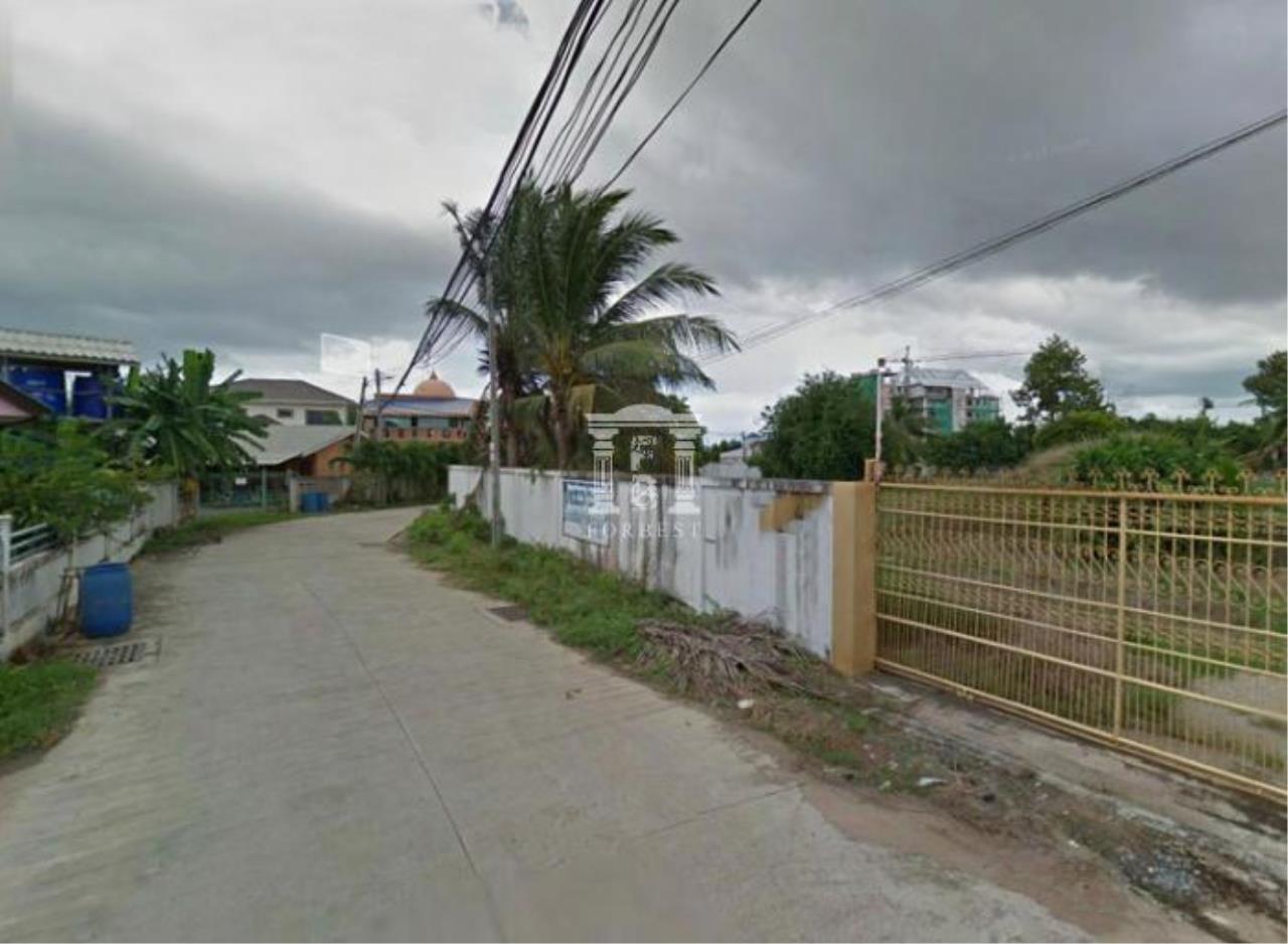 34713 - Pattaya near Jomtien Beach Land for sale plot size 10000 Sqm, ภาพที่ 4