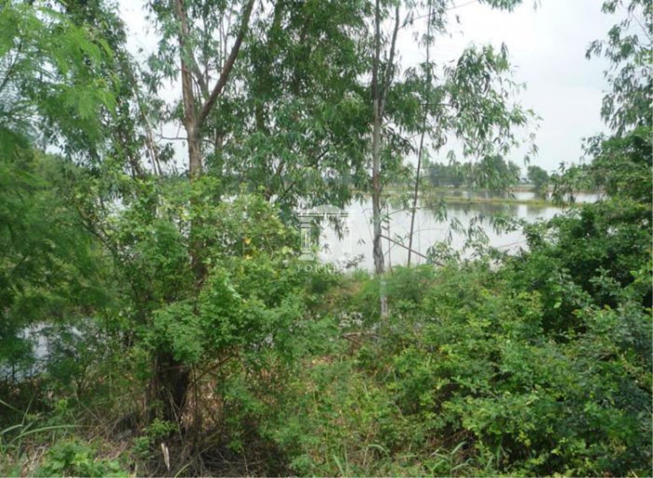 33945-9101 - Phaholyothin-Wang Noi Road Km74 Vacant Land for sale plot size 52 acres, ภาพที่ 5