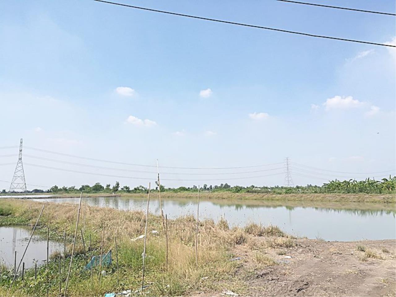 ขาย ที่ดิน ตำบลดอนข่อย อำเภอกำแพงแสน จังหวัดนครปฐม, ภาพที่ 4