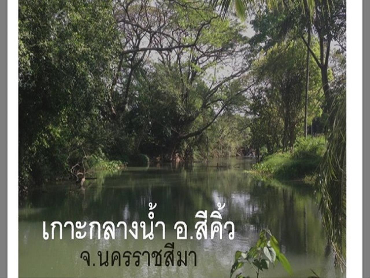 38228 - Amphoe sikhio Nakhon Ratchasima Land for sale plot size 54, ภาพที่ 4