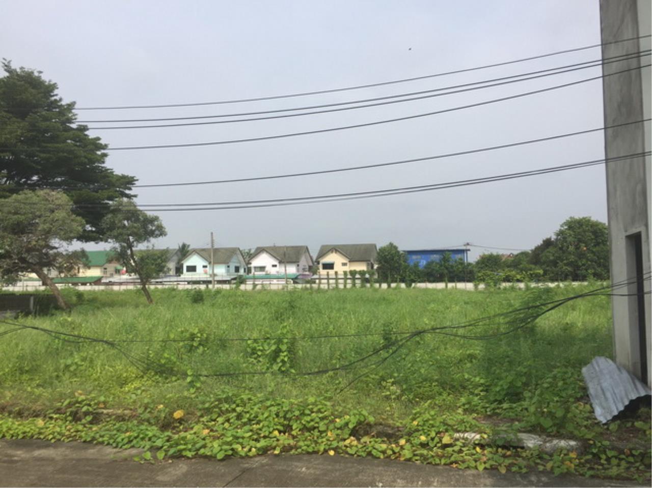 38636 - Phutamonthon sai 2 road Land for sale plot size 11 acres, ภาพที่ 4