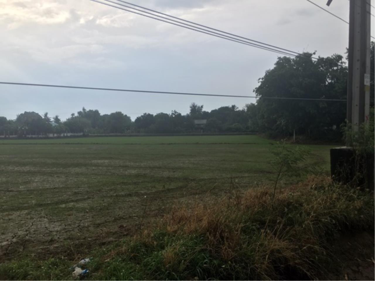 ขาย ที่ดิน ตำบลเดิมบาง อำเภอเดิมบางนางบวช จังหวัดสุพรรณบุรี, ภาพที่ 4