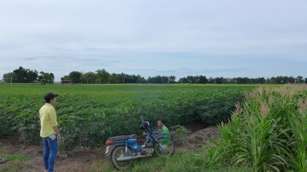 ขาย ที่ดิน ตำบลโคกเจริญ อำเภอโคกเจริญ จังหวัดลพบุรี, ภาพที่ 4