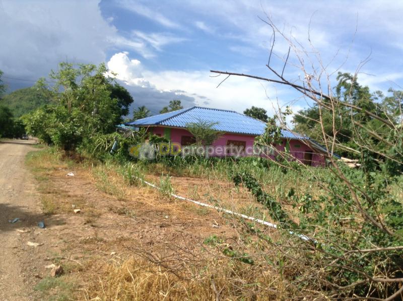 ขายที่ดิน ราคาถูก นิคมสร้างตนเองกระเสียว1 ด่านช้าง · นิคมกระเสียว · · ·, ภาพที่ 4