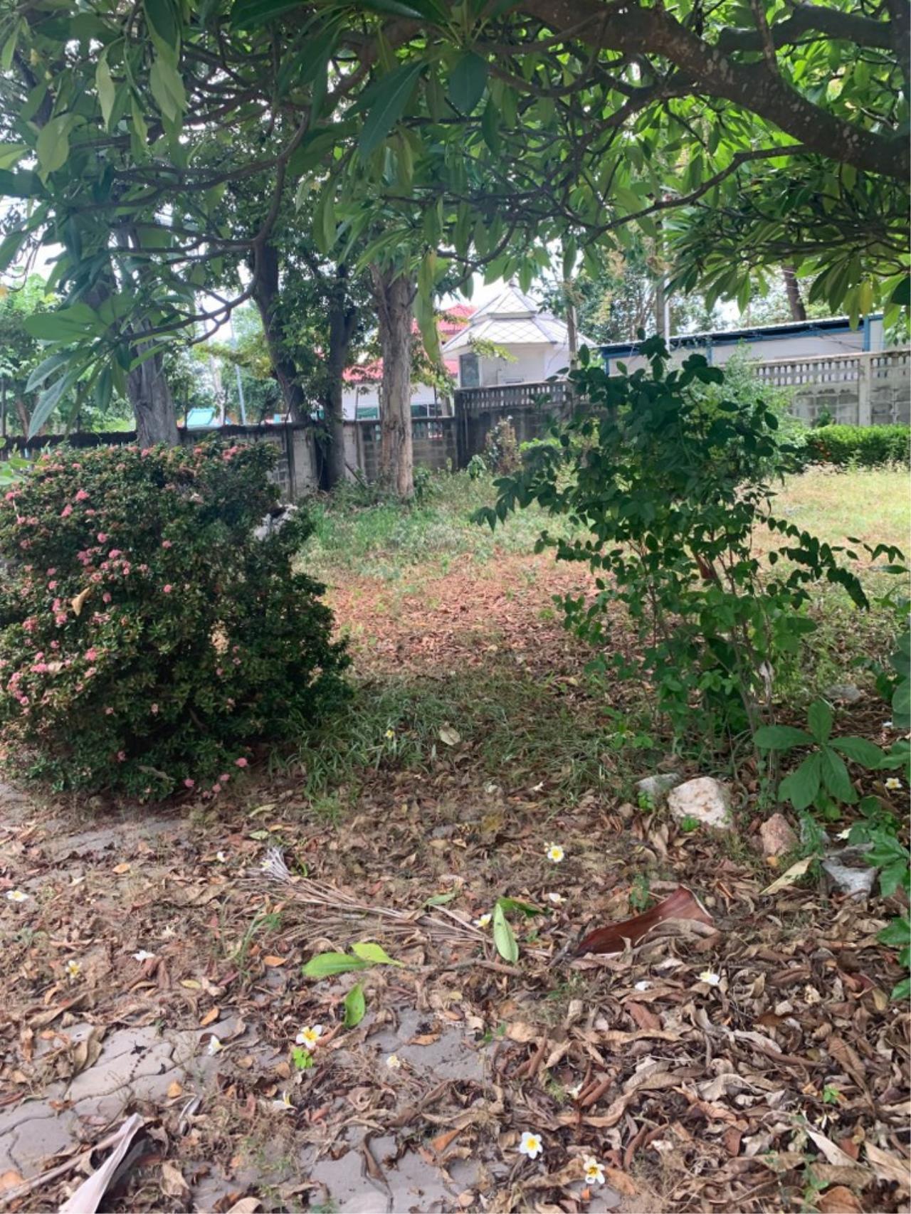 ขาย ที่ดิน ตำบลหนองปรือ อำเภอพนัสนิคม จังหวัดชลบุรี, ภาพที่ 4