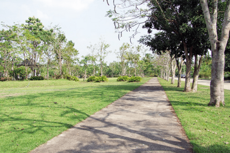 บ้านราชธานี คลองหลวง - บรรยากาศ - 3