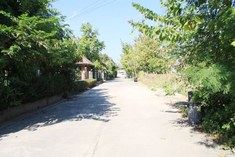 บ้านทิพย์ภมรลานดาว - บรรยากาศ - 3