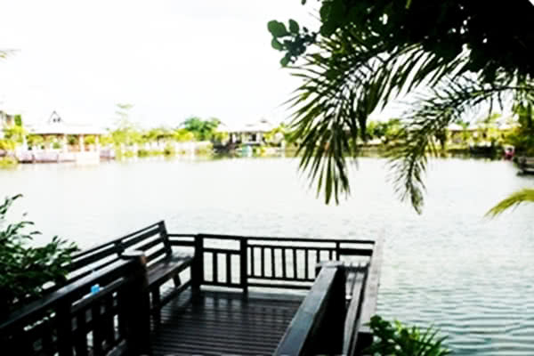 บ้านบลูไดมอนด์เชียงใหม่ - บรรยากาศ - 3