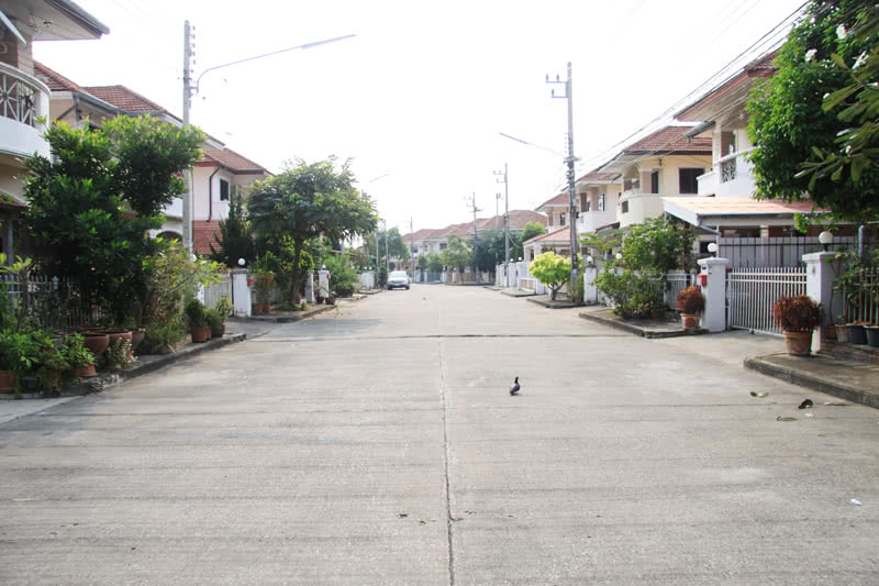 บ้านโฮมอินทาวน์ - บรรยากาศ - 3