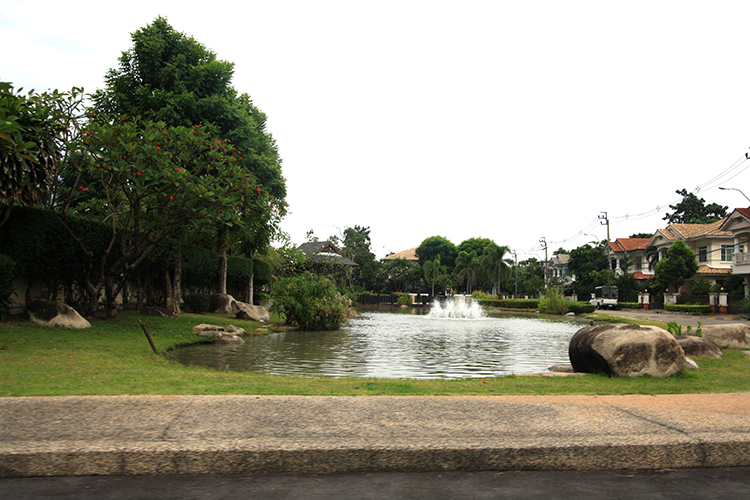 มัณฑนา เพชรเกษม 81 - บรรยากาศ - 3
