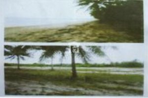 28477 - Thap Sakae district Prachuap Khiri Khan province Land For Sale size 29 acres
