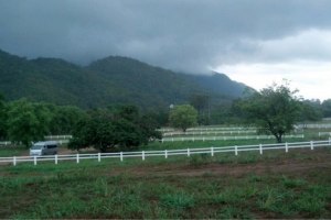 37576 - Pak Chong Nakhon Ratchasima Province Land for sale plot size 1104 Sqm