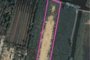 37970-Land for sale on Phutthamonthon Sai 4 rd 4 rai