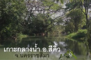 38228 - Amphoe sikhio Nakhon Ratchasima Land for sale plot size 54 acres