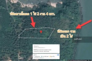 Khanom land near Nakhon Si Thammarat near Laem imprint View pink dolphins area of ​​1-2-14 Rai then 40 meters wide behin