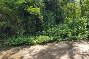 ขาย ที่ดิน ตำบลกุดจับ อำเภอกุดจับ จังหวัดอุดรธานี