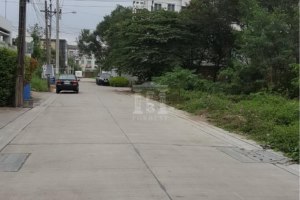 ขาย ที่ดิน แขวงเสนานิคม เขตจตุจักร กรุงเทพมหานคร