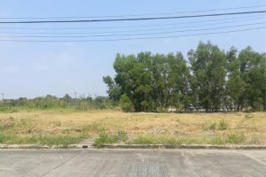 ขาย ที่ดิน ตำบลคลองหนึ่ง อำเภอคลองหลวง จังหวัดปทุมธานี