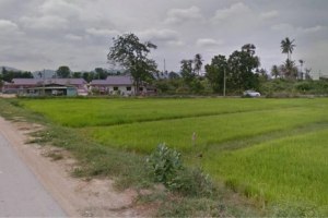 ขาย ที่ดิน ตำบลชะอำ อำเภอชะอำ จังหวัดเพชรบุรี