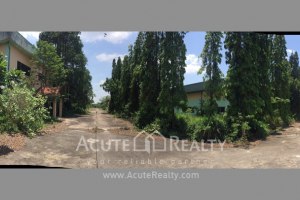 ขายที่ดิน ชลบุรี