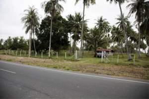 ขายที่ดิน เมืองประจวบคีรีขันธ์ ประจวบคีรีขันธ์