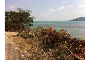 ขายที่ดิน เกาะสมุย สุราษฎร์ธานี