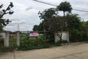 ขายที่ดิน ในโครงการ บุญโต ถนนเลียบคลองประปา บ้านใหม่ · บ้านใหม่ · เมืองปทุมธานี · ปทุมธานี 