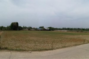 ให้เช่า ที่ดิน ตำบลมหาสวัสดิ์ อำเภอบางกรวย จังหวัดนนทบุรี