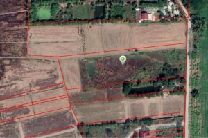 ขาย ที่ดิน ตำบลบึงพระ อำเภอเมืองพิษณุโลก จังหวัดพิษณุโลก