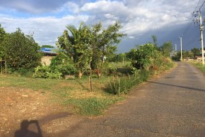ขาย ที่ดิน ตำบลหนองสาหร่าย อำเภอปากช่อง จังหวัดนครราชสีมา