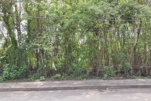 ขาย ที่ดิน แขวงศาลาธรรมสพน์ เขตทวีวัฒนา กรุงเทพมหานคร