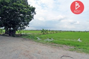ขายที่ดิน หนองบัว · หนองบัว · บ้านโพธิ์ · ฉะเชิงเทรา 