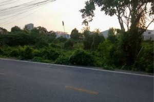 39332 - Sai Ma Road next to Chao Phraya River Land for sale area 5160 Sqm