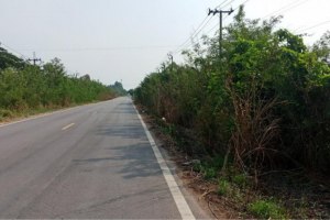 38750 - Bang Bua Thong - Suphan Buri Road Land for sale area 193 acres