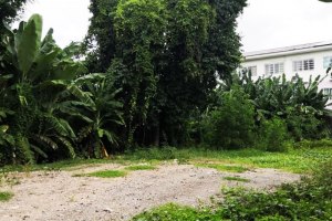 ขายที่ดิน เสนานิคม1 ซอย17 ราคาถูกมาก อนุสาวรีย์ · บางเขน · กรุงเทพมหานคร 