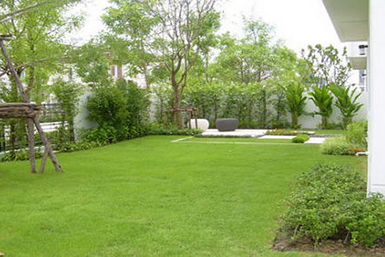 บ้านแฝดสองชั้น ในโครงการ เดอะ เทอเรส เพชรเกษม 63, ภาพที่ 4