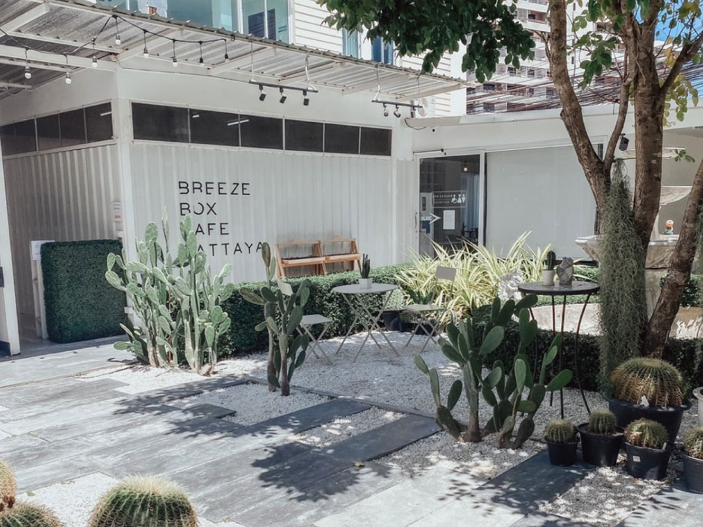 Breeze Box Café & Cactus