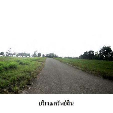 ขาย ที่ดิน ตำบลเขาไม้แก้ว อำเภอบางละมุง จังหวัดชลบุรี, ภาพที่ 4