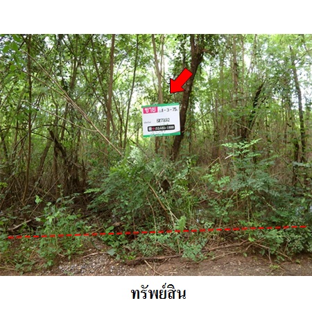 ขาย ที่ดิน ตำบลดงขุย อำเภอชนแดน จังหวัดเพชรบูรณ์, ภาพที่ 4