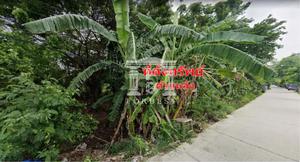 39749 - Wang Noi Ayutthaya Land for sale plot size 44 acres