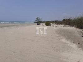 ขาย ที่ดิน ตำบลบางเก่า อำเภอชะอำ จังหวัดเพชรบุรี