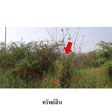 ขาย ที่ดิน ตำบลลำผักกูด อำเภอธัญบุรี จังหวัดปทุมธานี, ภาพที่ 4