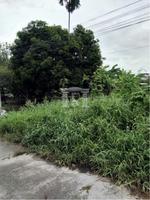 39942 - Sukhumvit 107 Land for sale plot size 33 acres