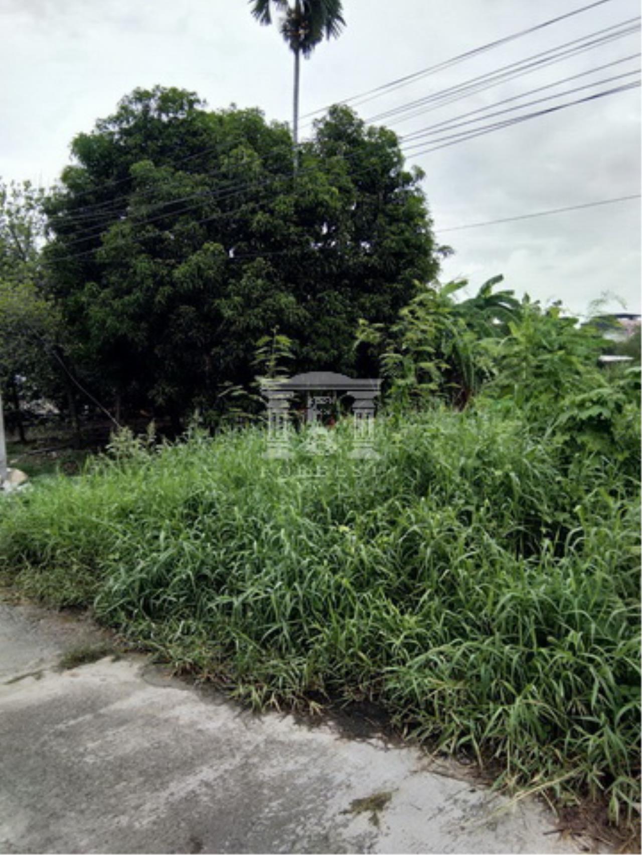 39942 - Sukhumvit 107 Land for sale plot size 33 acres, ภาพที่ 4