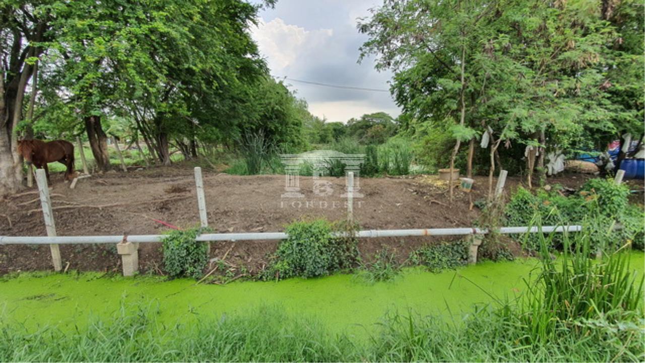 40010 - On Nut 65 Land For Sale 5 Rai 195 Acre, ภาพที่ 4